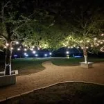 Overlooking the event square through the trees at night