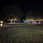 Trees lit with string lights at night