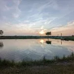 View of sunset over the pond