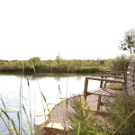 A view from the pond jutty