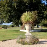 A view of the urn and pecan tree in the event square