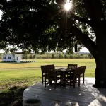 A view of the pecan tree in the event square