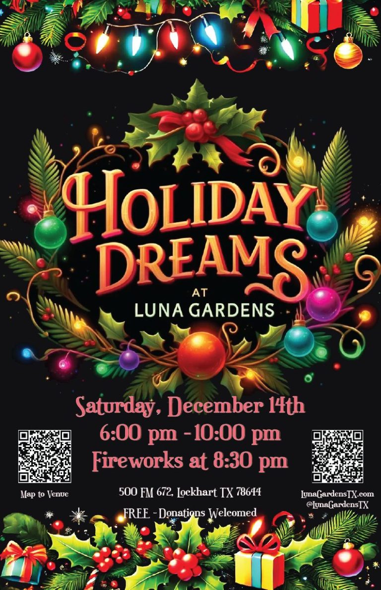 Holiday Dreams Poster