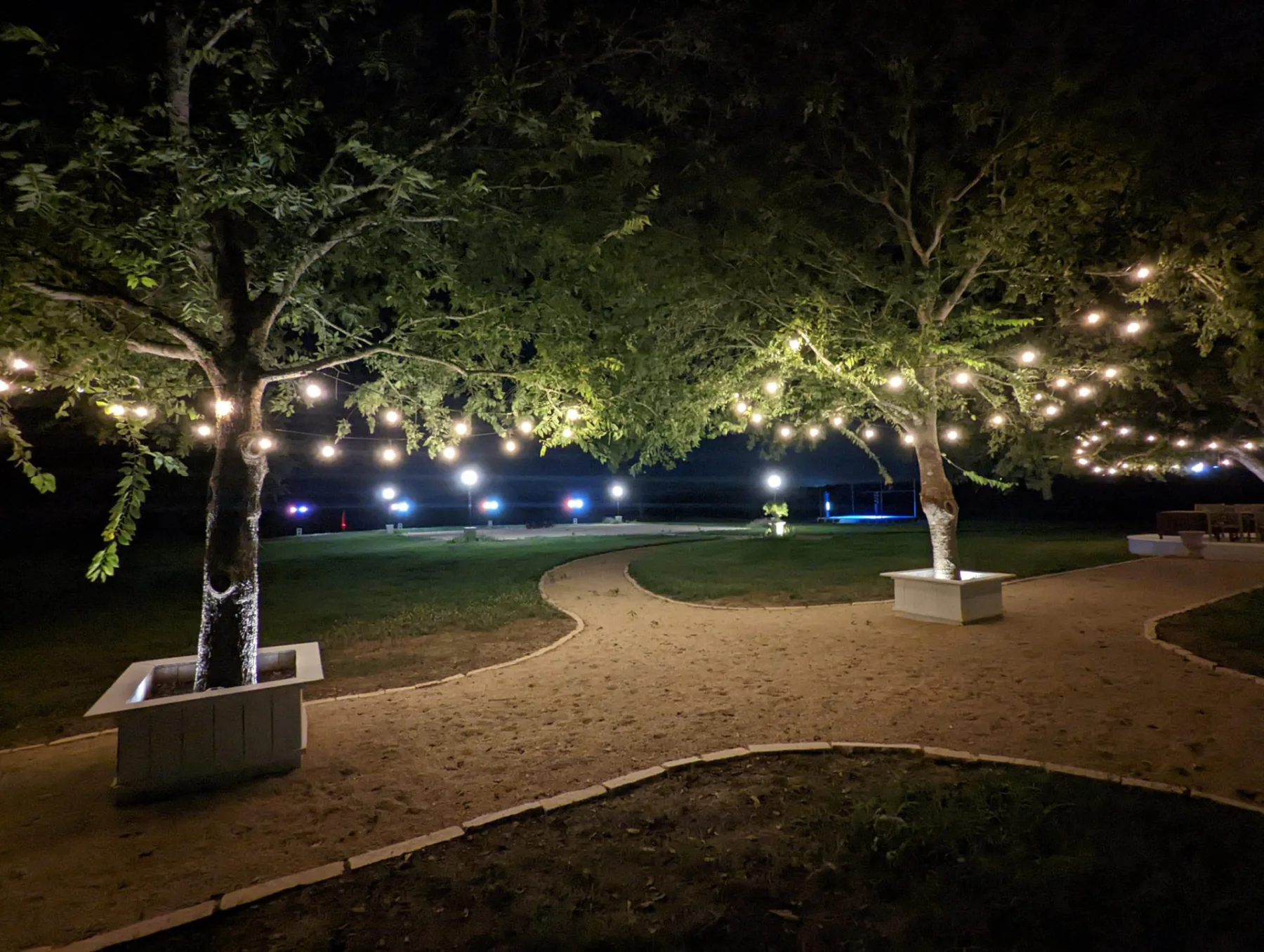 Garden pathways and mature trees illuminated for an evening event